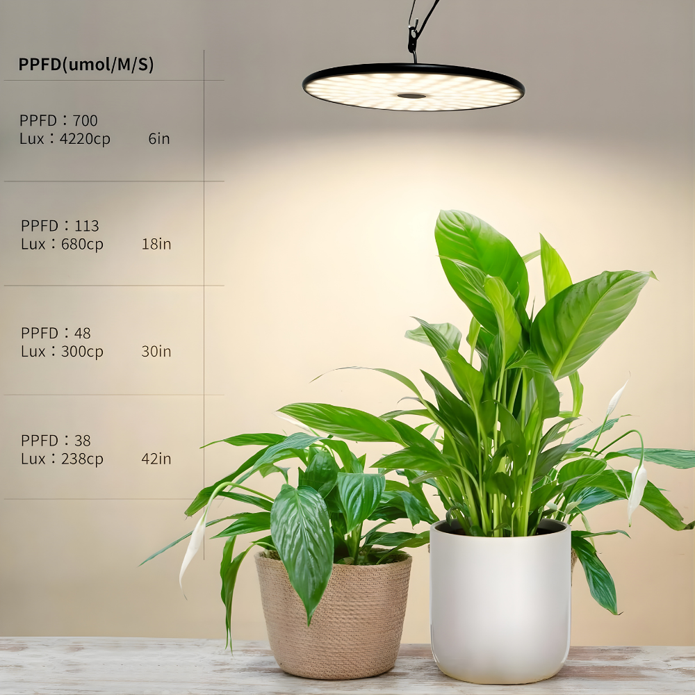 Solace Pendant Grow Light