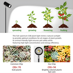 Solara Adjustable Grow Light