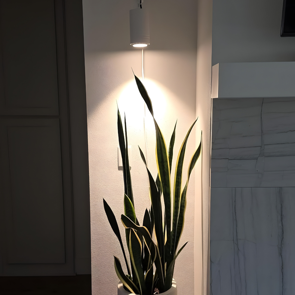 Celestia Pendant Grow Light