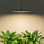 Solace Pendant Grow Light