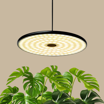 Solace Pendant Grow Light