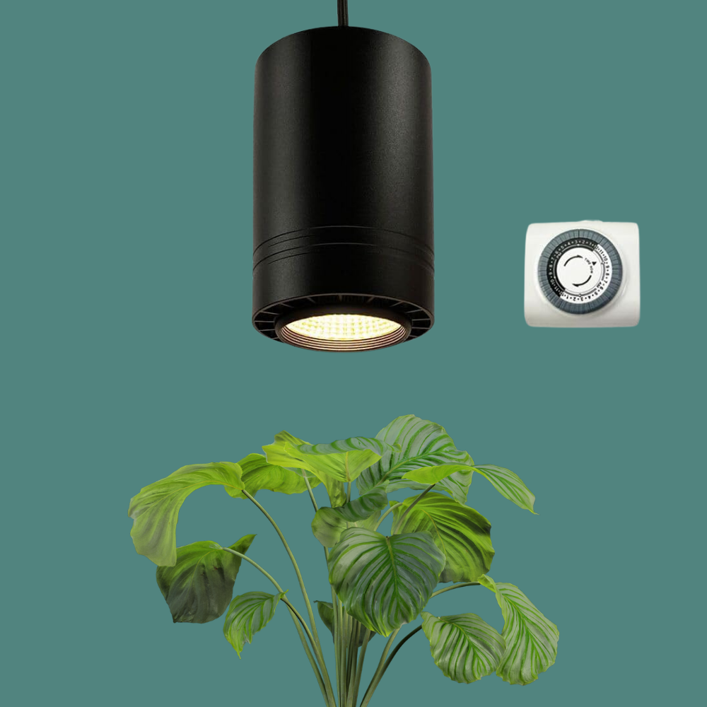 Celestia Pendant Grow Light