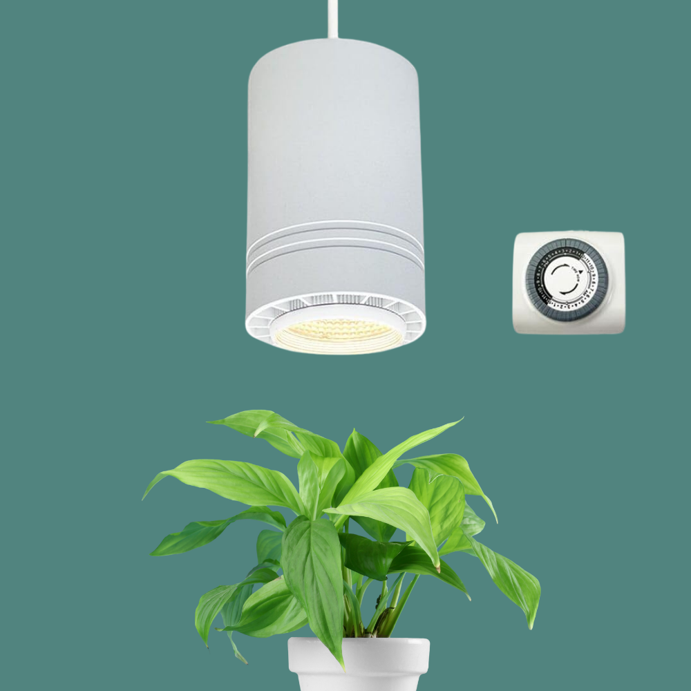 Celestia Pendant Grow Light