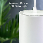 Celestia Pendant Grow Light