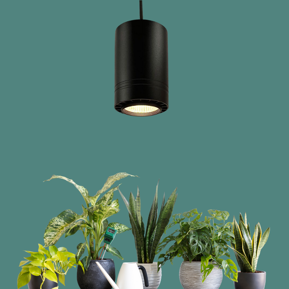 Celestia Pendant Grow Light