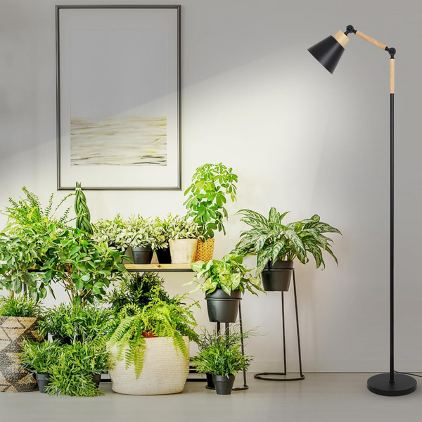 Solstice Adjustable Grow Light