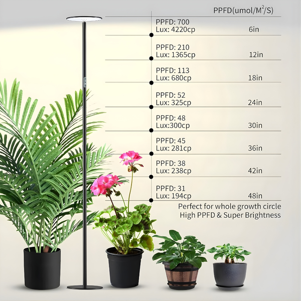 Ascent Adjustable Grow Light