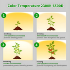 Ascent Adjustable Grow Light