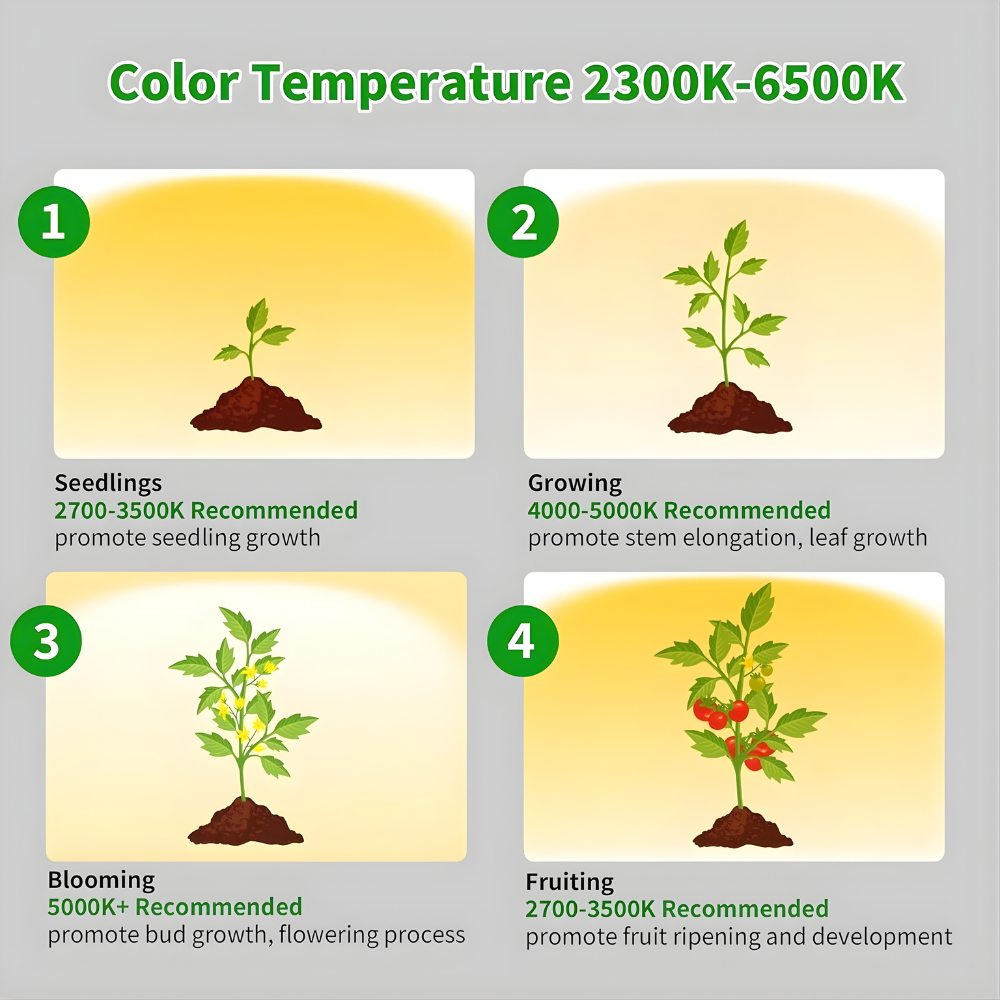 Ascent Adjustable Grow Light