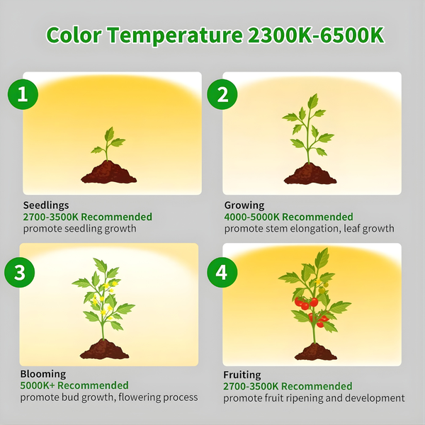 Ascent Adjustable Grow Light