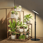 Ascent Adjustable Grow Light