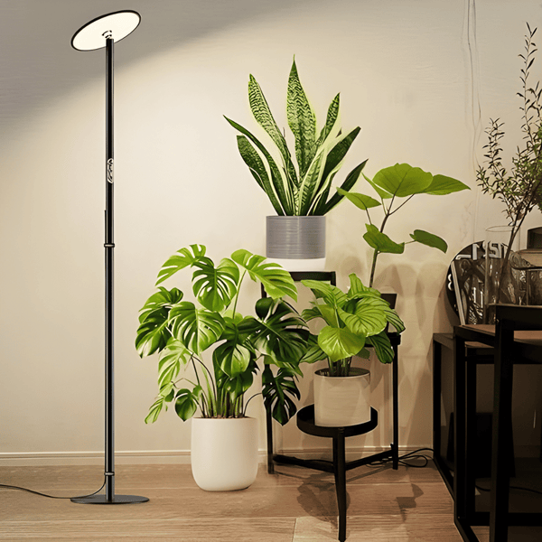 Ascent Adjustable Grow Light