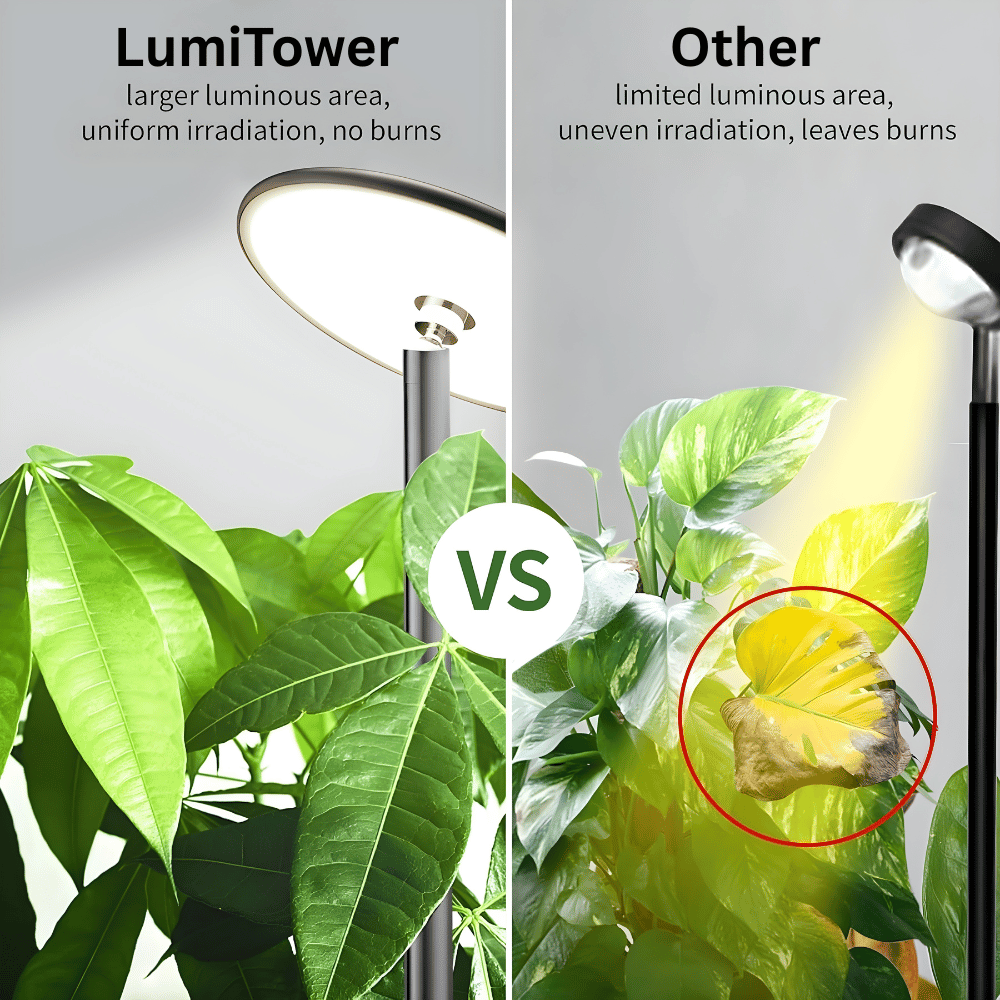 Ascent Adjustable Grow Light