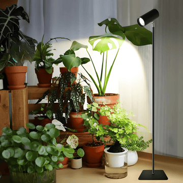 Solara Solo Grow Light