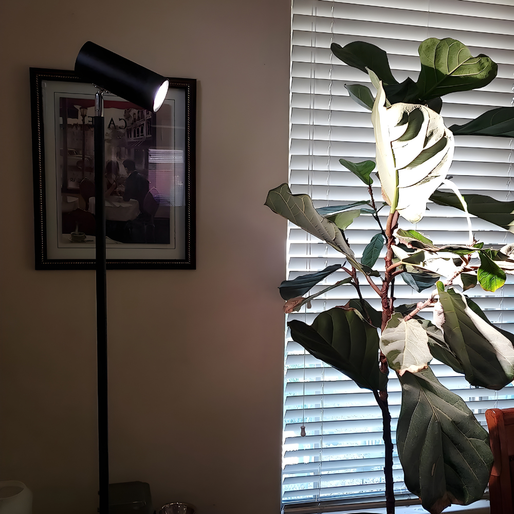 Radiance Adjustable Grow Light