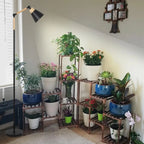 Solstice Adjustable Grow Light