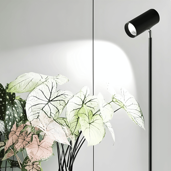 Solara Adjustable Grow Light