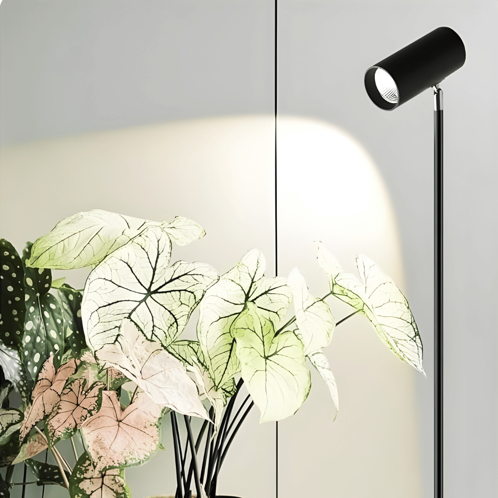 Solara Adjustable Grow Light