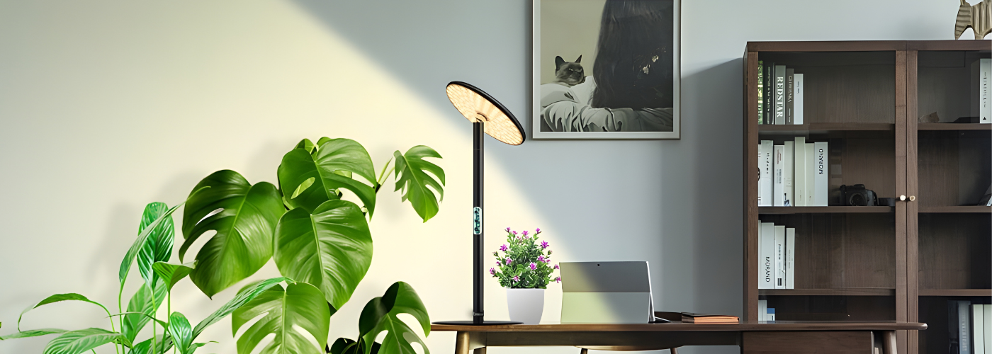 collection-banner-image