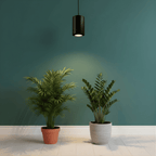 Celestia Pendant Grow Light