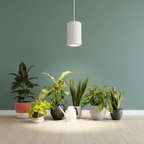 Celestia Pendant Grow Light