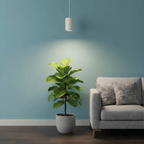 Celestia Pendant Grow Light