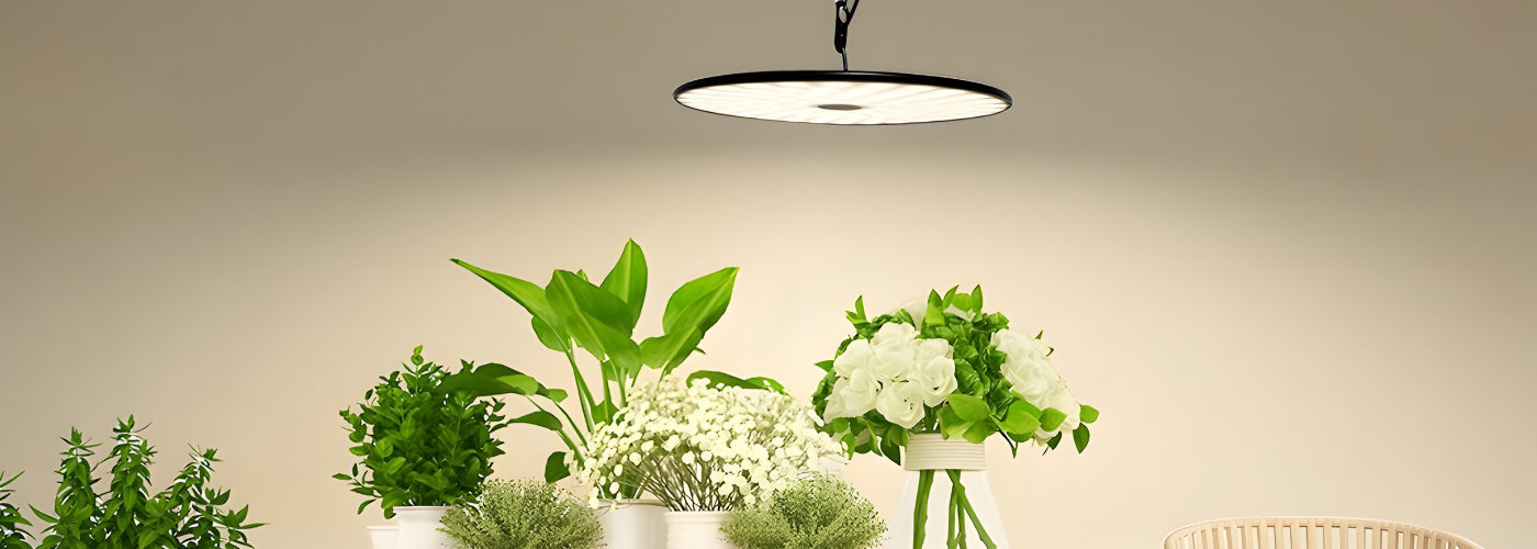 collection-banner-image