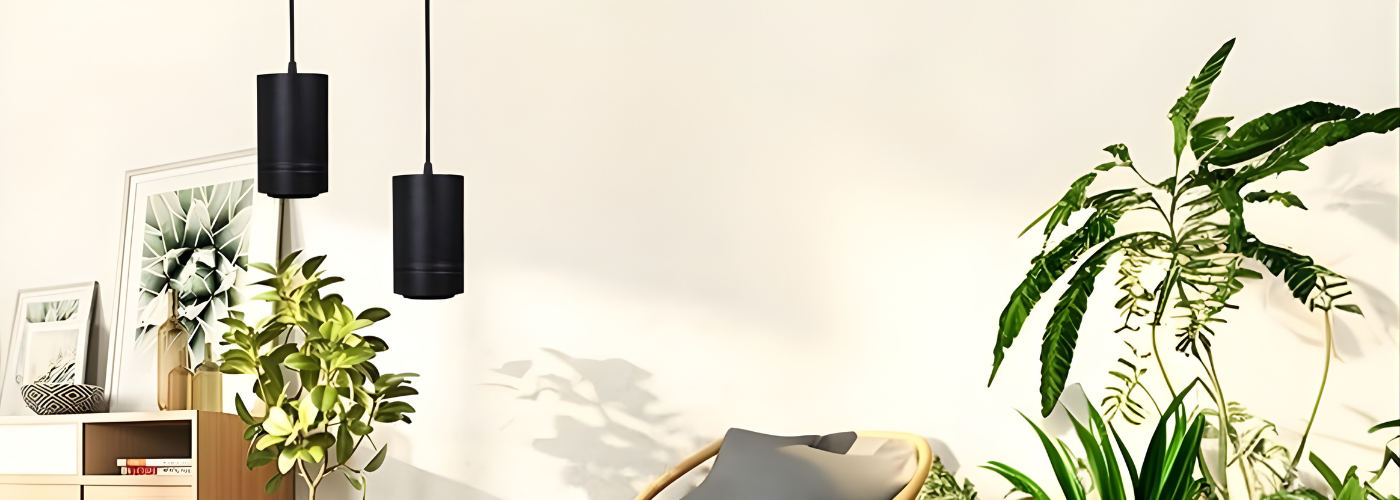 collection-banner-image