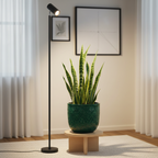 Radiance Adjustable Grow Light